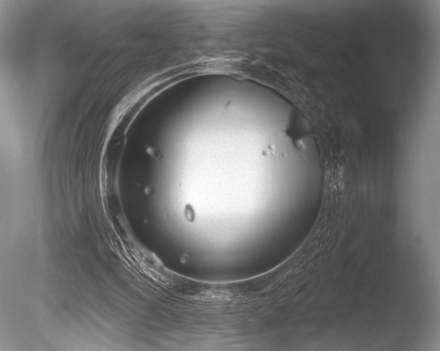 X0000086250294200703291414