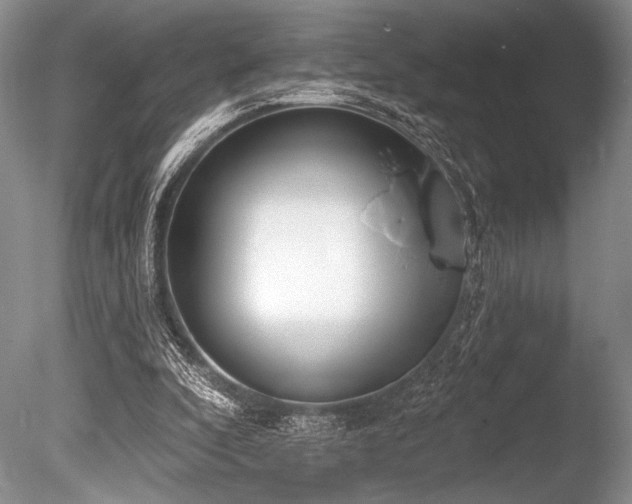 X0000086250296200703291414