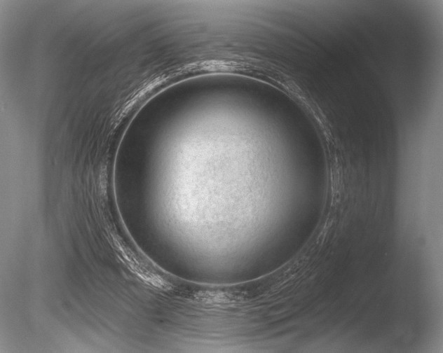 X0000086250297200703291414