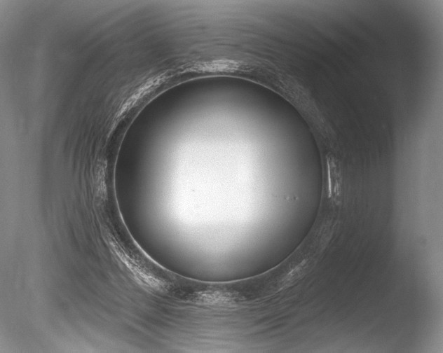 X0000086250300200703291414