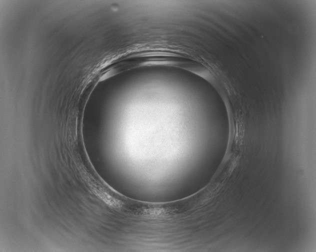 X0000086250301200703291414