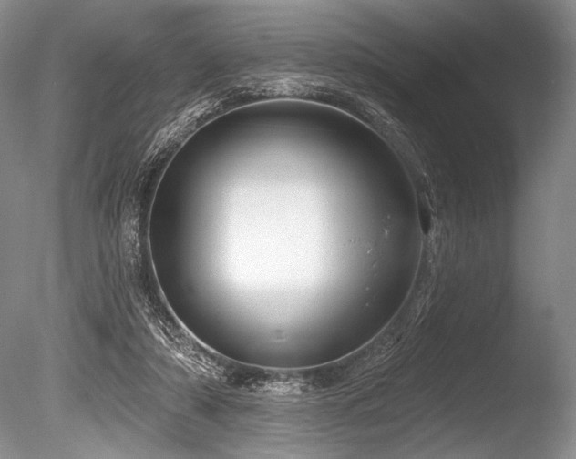 X0000086250306200703291414