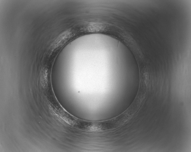 X0000086250308200703291414