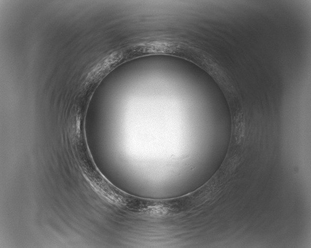 X0000086250310200703291414