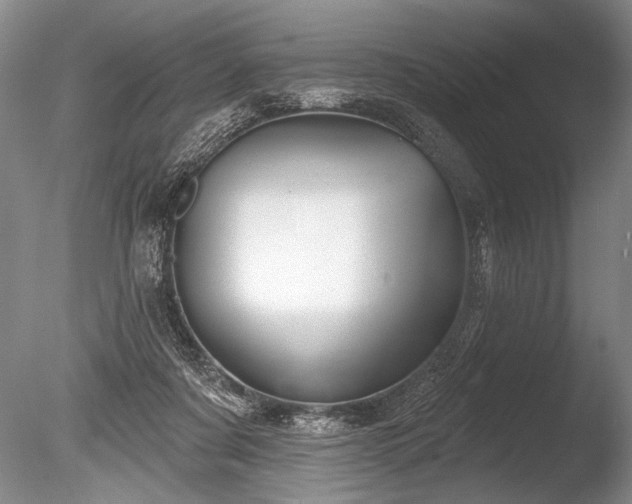 X0000086250311200703291414