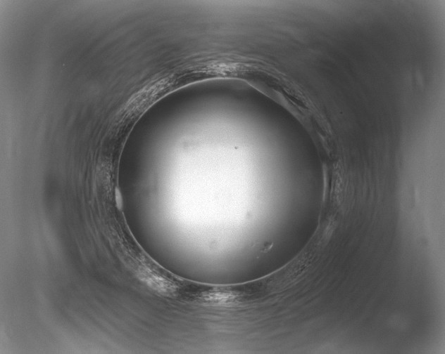 X0000086250313200703291414