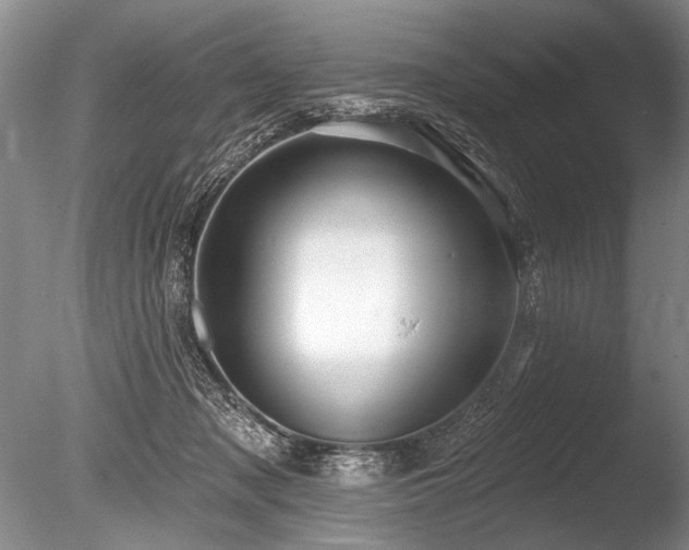 X0000086250317200703291413
