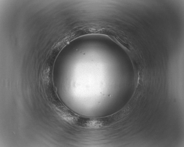 X0000086250319200703291413
