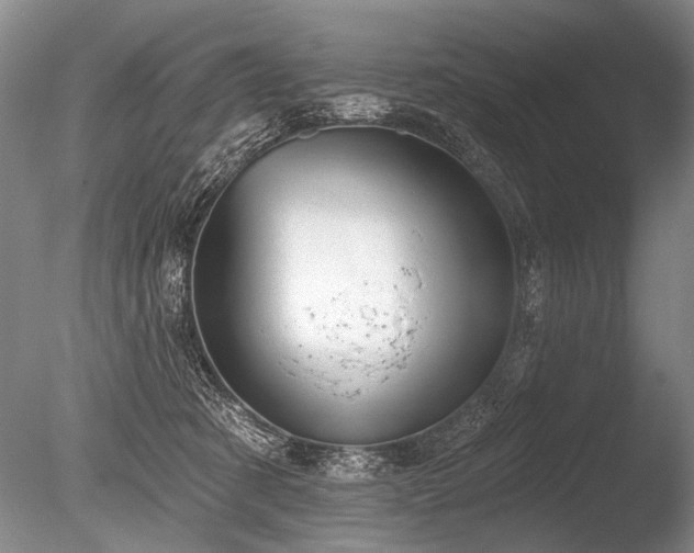 X0000086250321200703291413