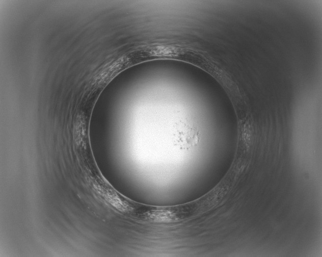 X0000086250322200703291413