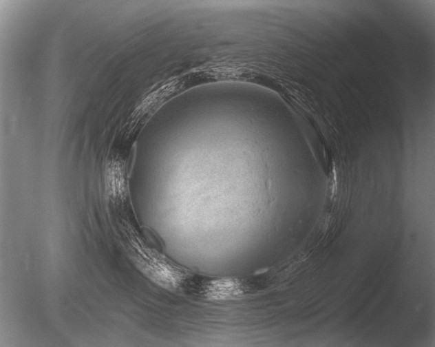 X0000086250335200703291413