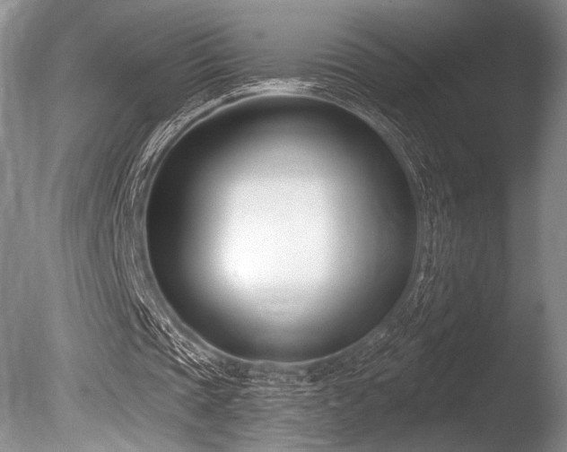 X0000086250337200703291412