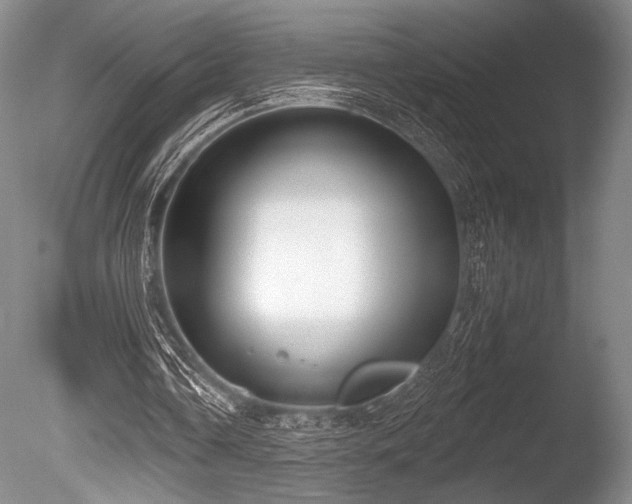 X0000086250338200703291412