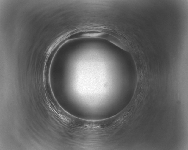 X0000086250340200703291412