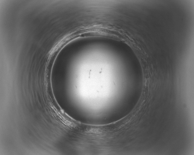 X0000086250341200703291412