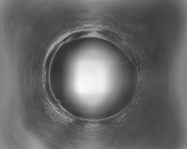 X0000086250342200703291412