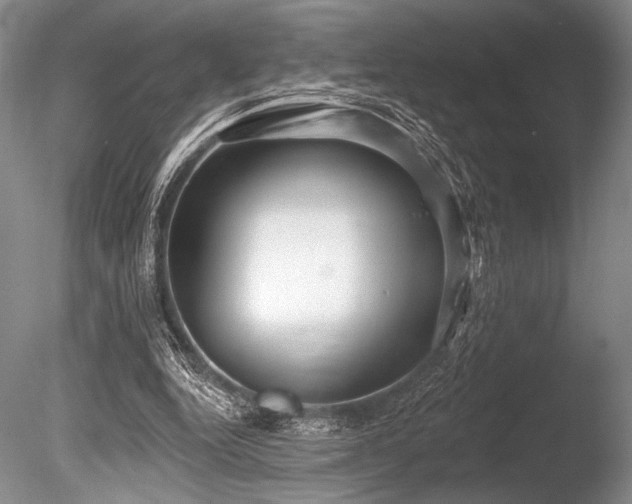 X0000086250344200703291412