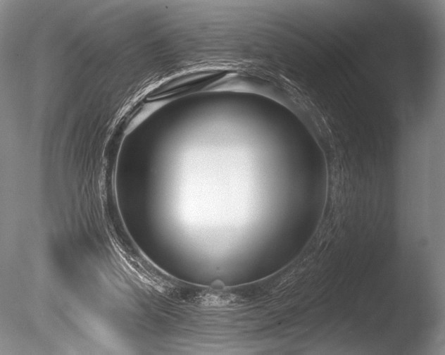 X0000086250346200703291412