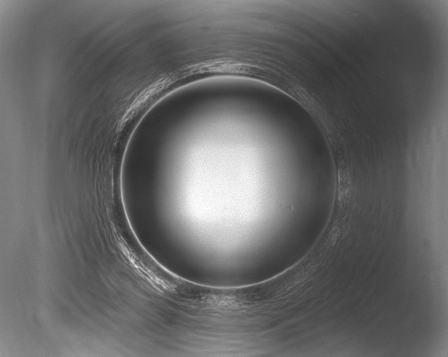 X0000086250349200703291412