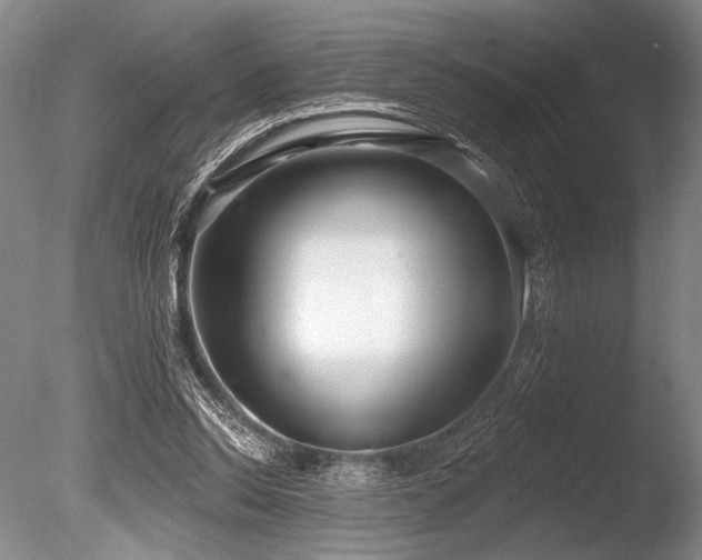 X0000086250350200703291413