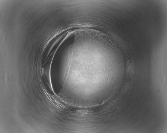 X0000086250351200703291413