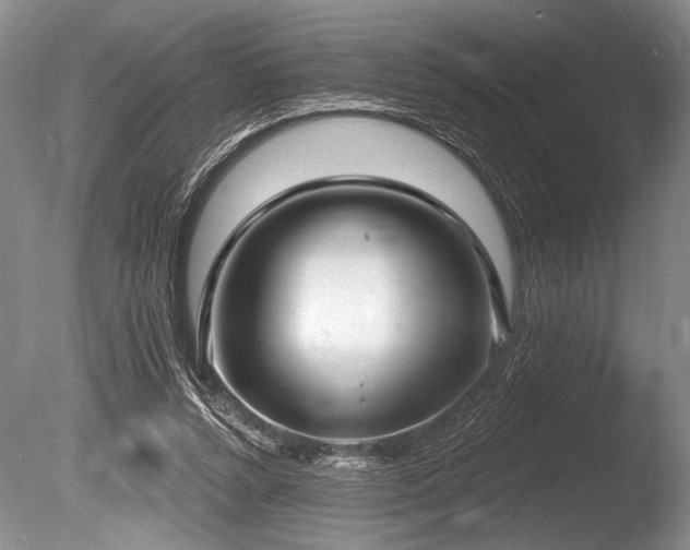 X0000086250352200703291413