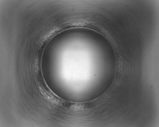 X0000086250354200703291413