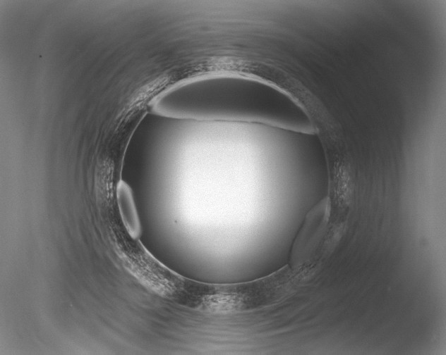 X0000086250356200703291413