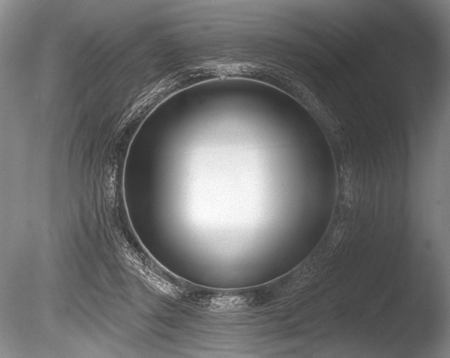 X0000086250357200703291413