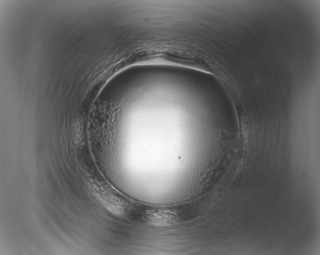 X0000086250359200703291413