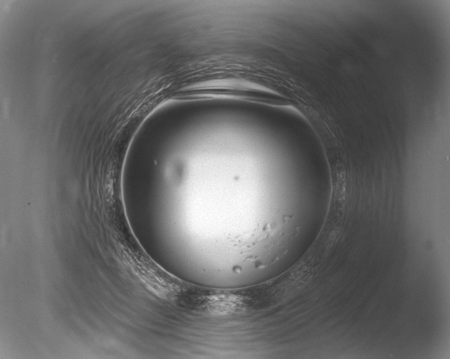 X0000086250363200703291413