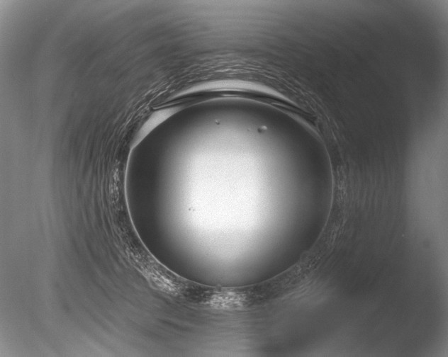 X0000086250369200703291413