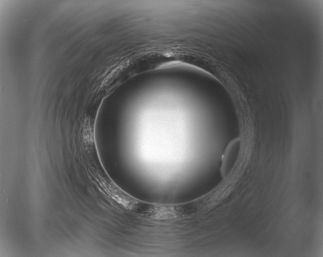 X0000086250384200703291413
