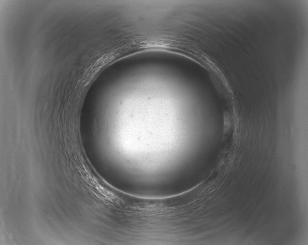 X0000086250385200703291412
