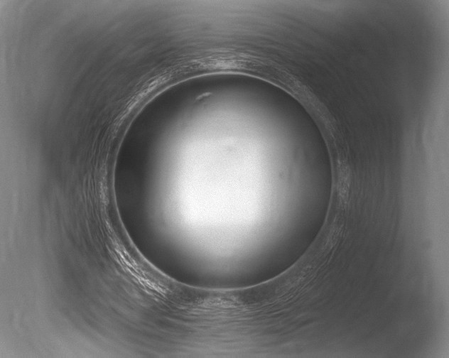 X0000086250386200703291412