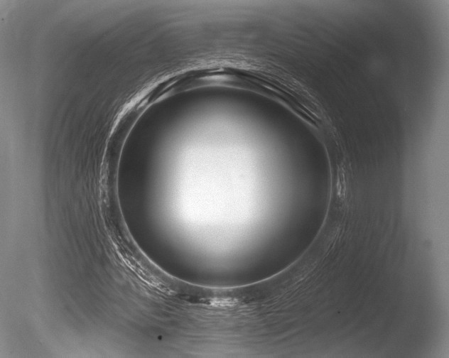X0000086250388200703291412