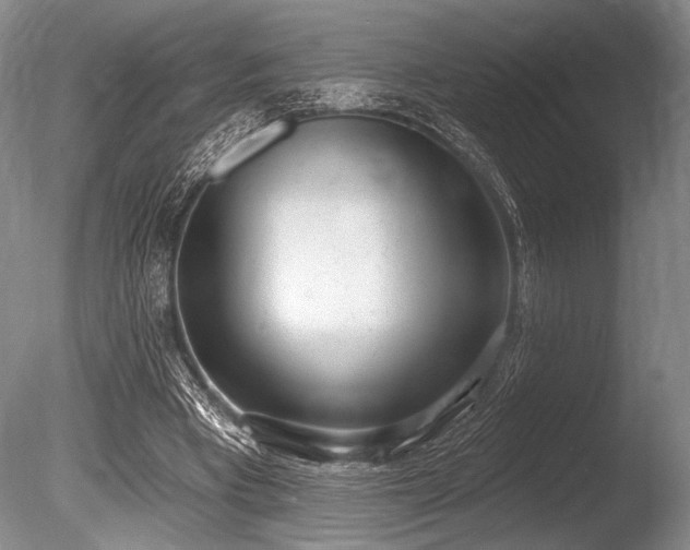 X0000086250393200703291412