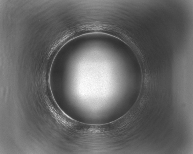 X0000086250394200703291412