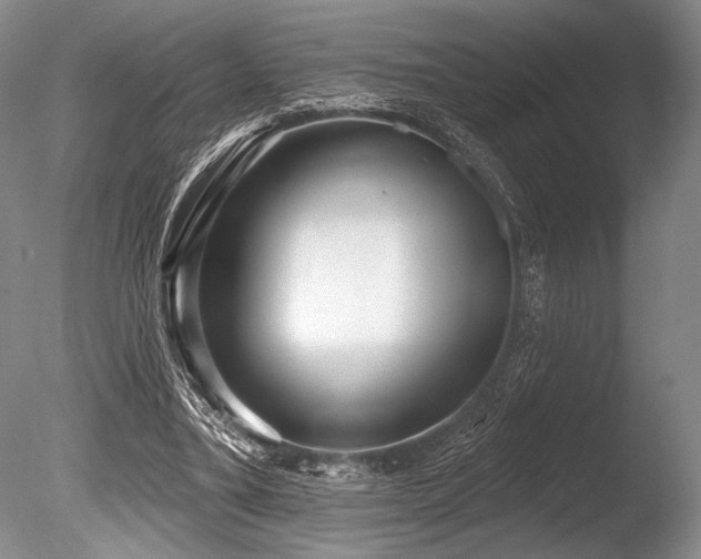 X0000086250395200703291412