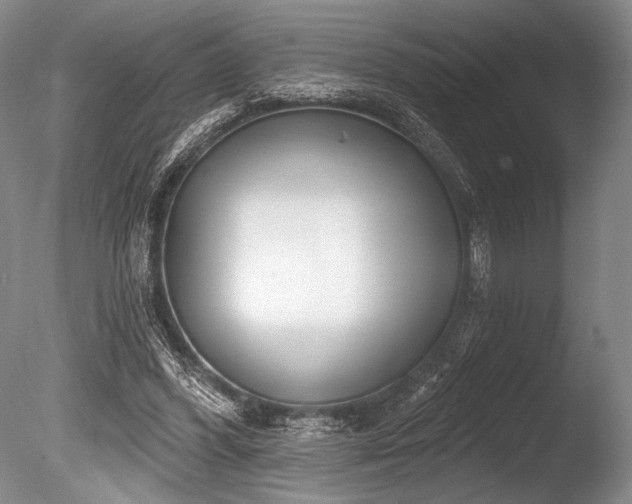 X0000086250396200703291412