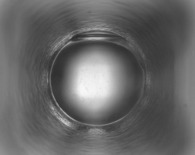 X0000086250397200703291412
