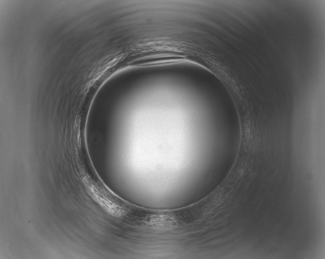 X0000086250398200703291412