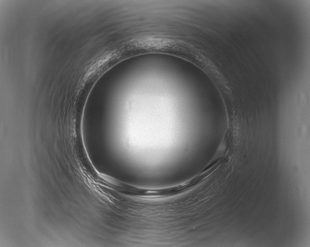X0000086250399200703291412