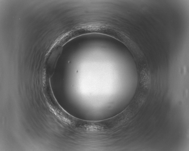X0000086250400200703291412