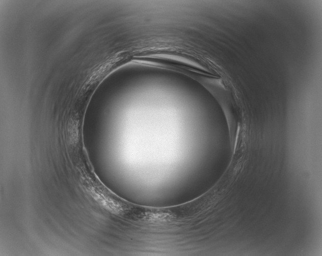 X0000086250401200703291412