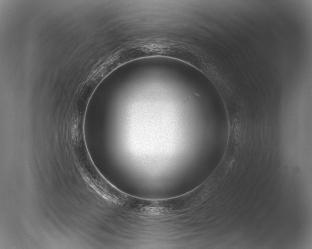 X0000086250408200703291412