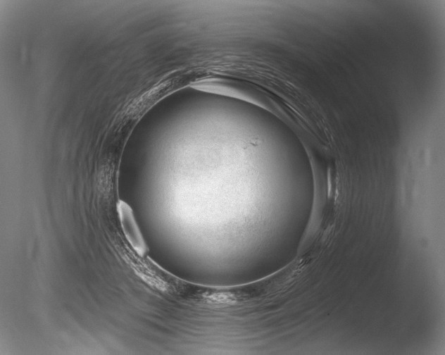 X0000086250409200703291412