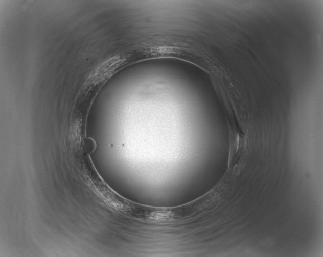 X0000086250410200703291412