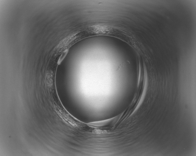X0000086250413200703291412