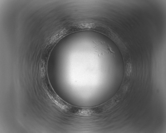 X0000086250414200703291412